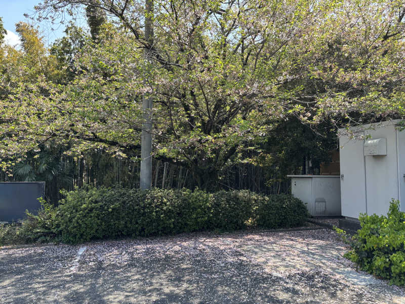 なおこさんの梶尾温泉のサ活写真