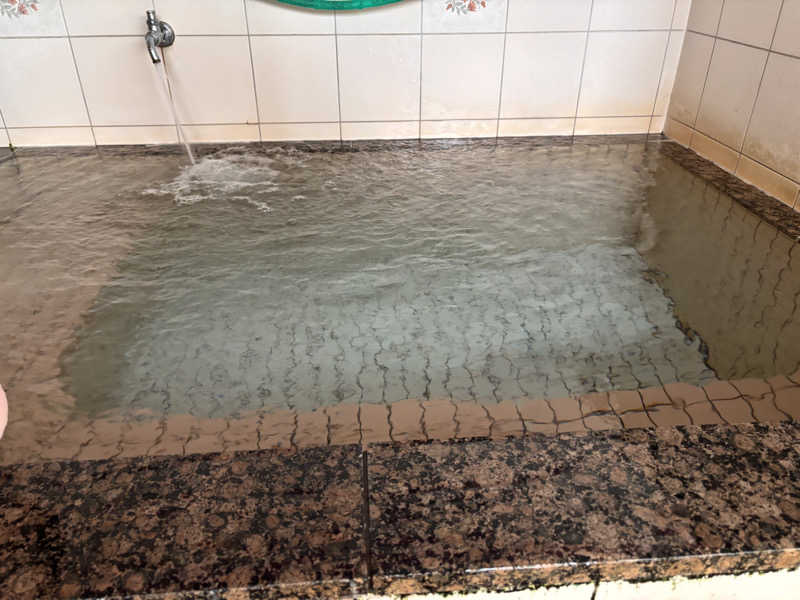 なおこさんの梶尾温泉のサ活写真