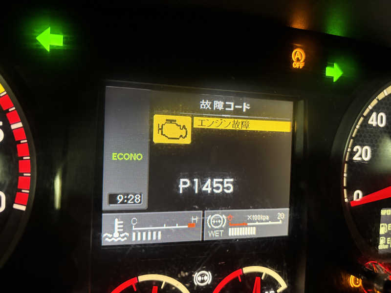 なおこさんの菊池温泉 旅館 薬師湯のサ活写真