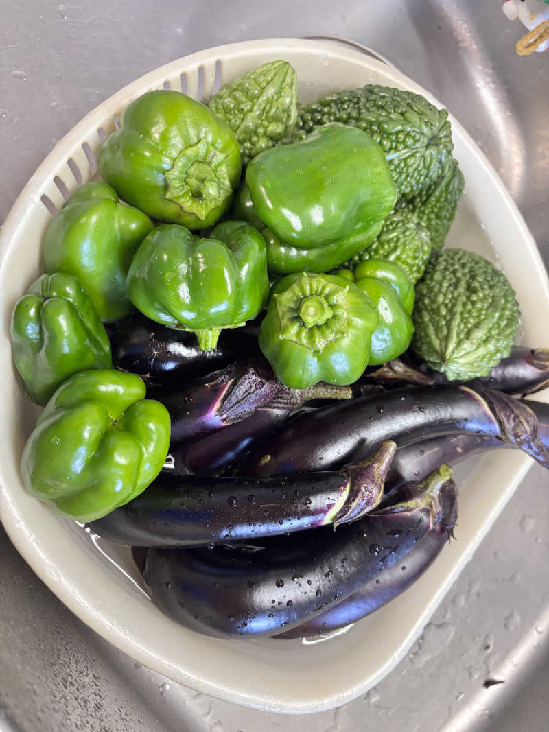 なおこさんの蘇傳寺温泉のサ活写真