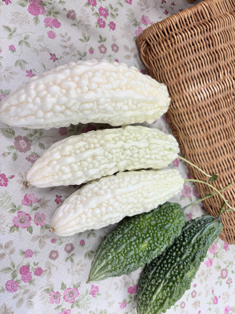 なおこさんの千代湯のサ活写真