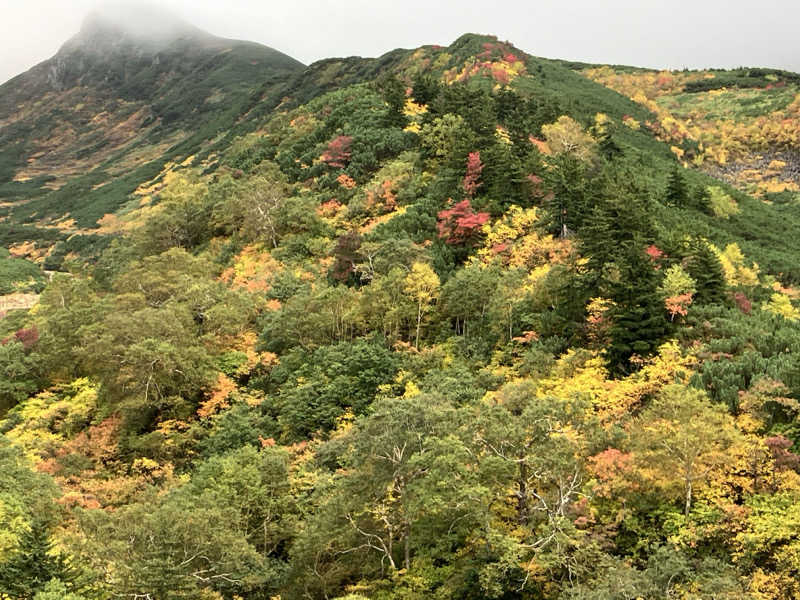 きりんさんの十勝岳温泉 凌雲閣のサ活写真