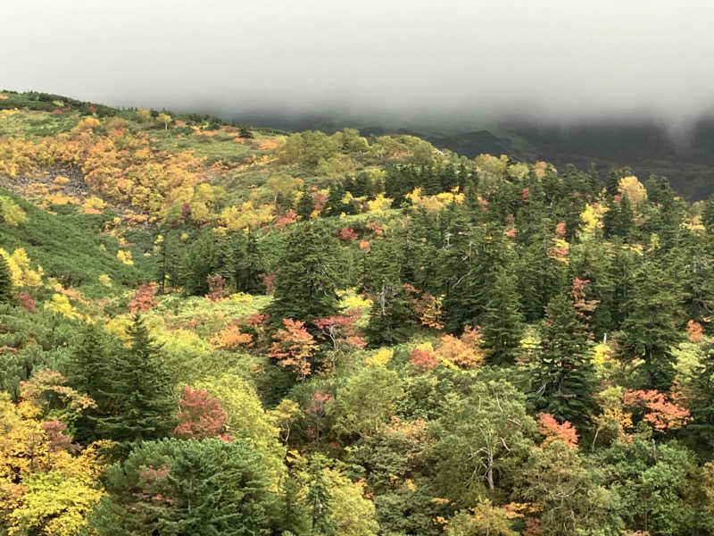 きりんさんの十勝岳温泉 凌雲閣のサ活写真