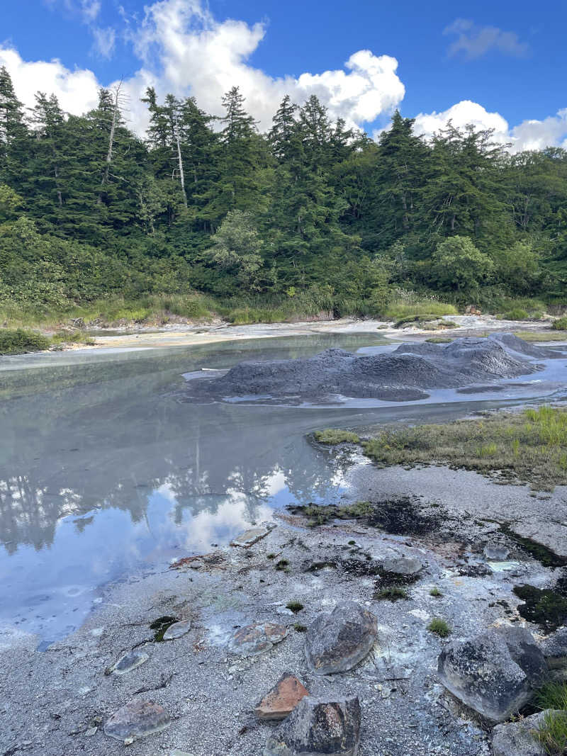 Rinkosaunerさんの後生掛温泉のサ活写真