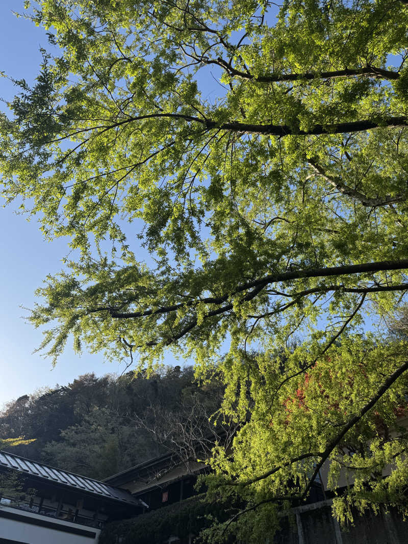 もぉこさんの天山湯治郷 ひがな湯治 天山のサ活写真