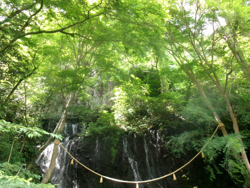 鳥loverさんの箱根湯本温泉 天成園のサ活写真
