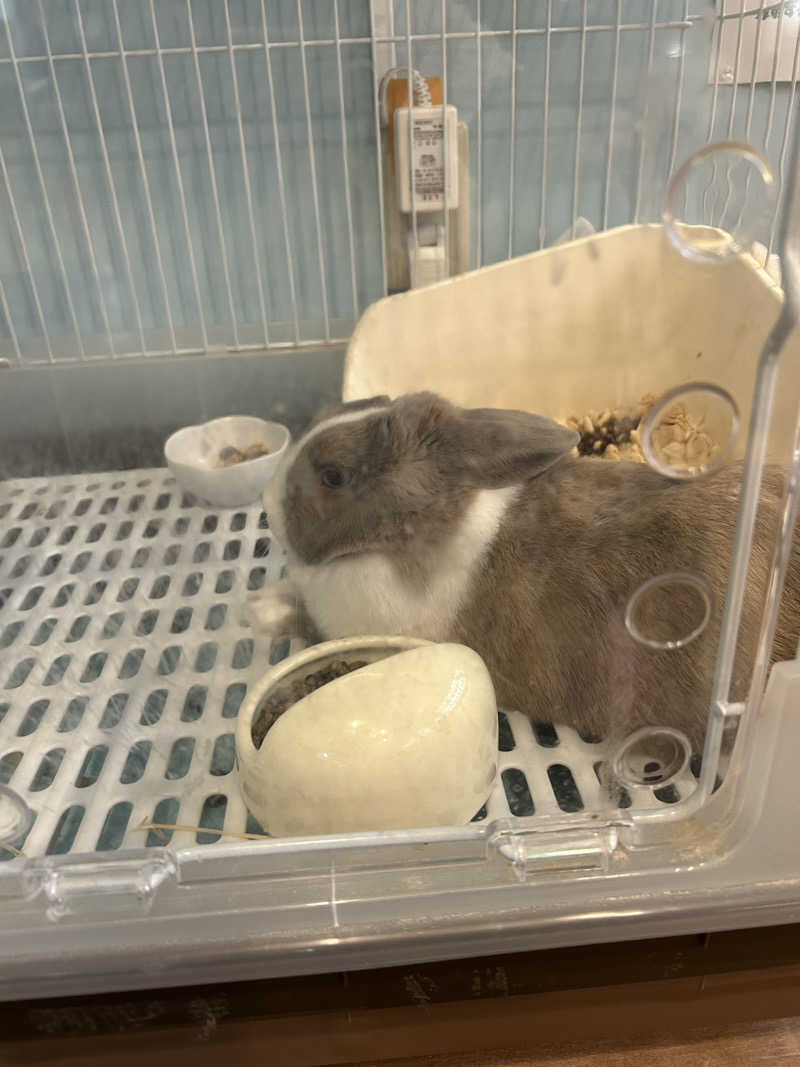 けびんさんのアクアリゾート 岐阜ふじの湯のサ活写真