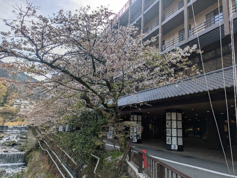 たなふみさんの箱根湯本温泉 天成園のサ活写真