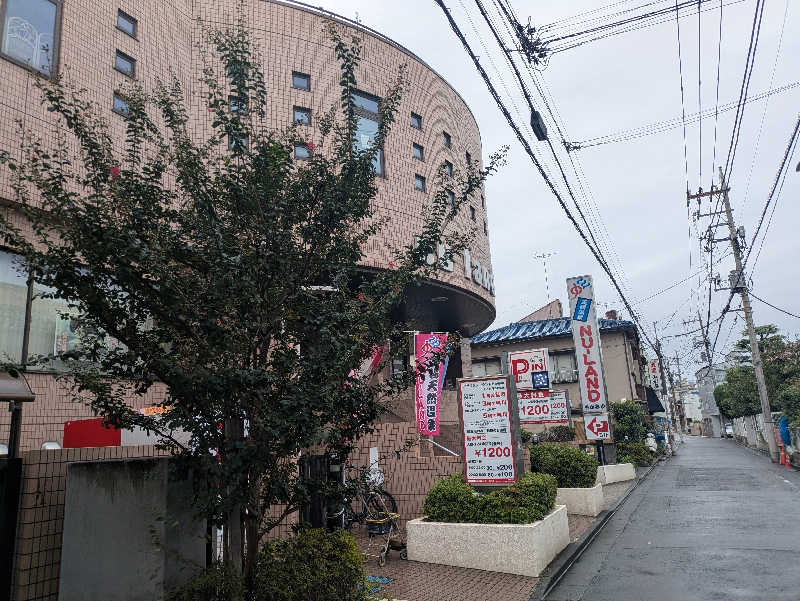 たなふみさんの天然温泉ヌーランドさがみ湯のサ活写真