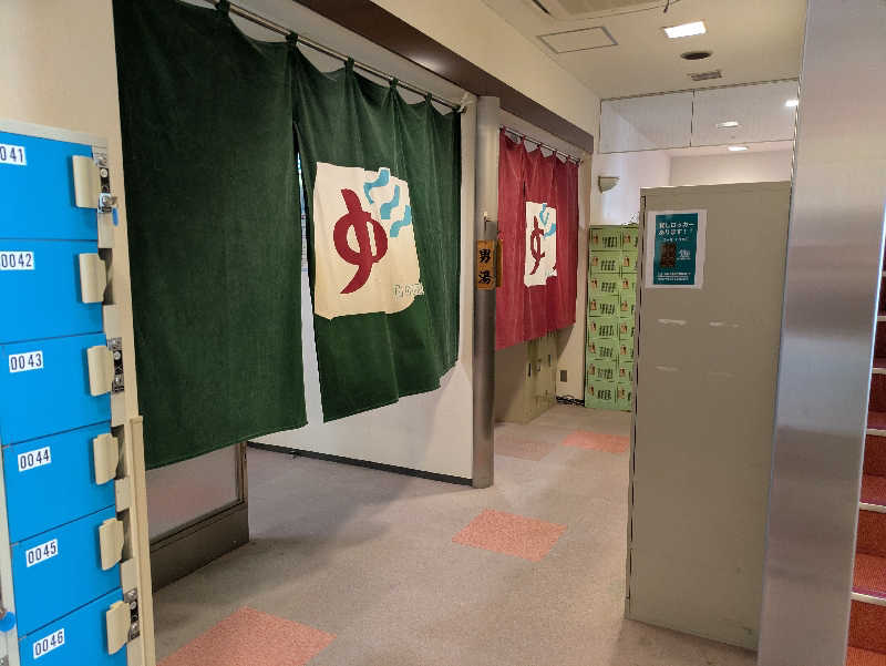 たなふみさんの天然温泉ヌーランドさがみ湯のサ活写真
