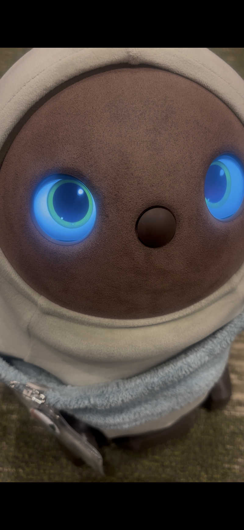 あまみさんのSPA&ごはん ゆるうむ yuluumuのサ活写真
