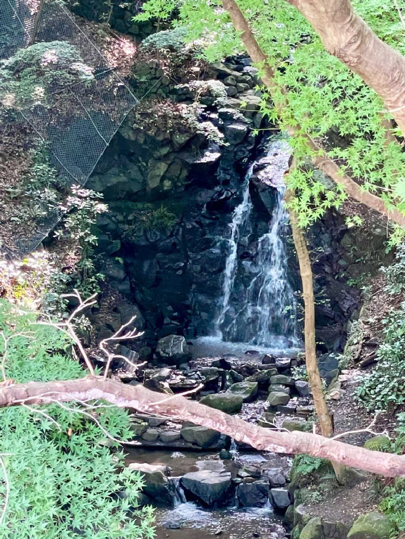 Laundryさんのなにわ健康ランド 湯〜トピアのサ活写真