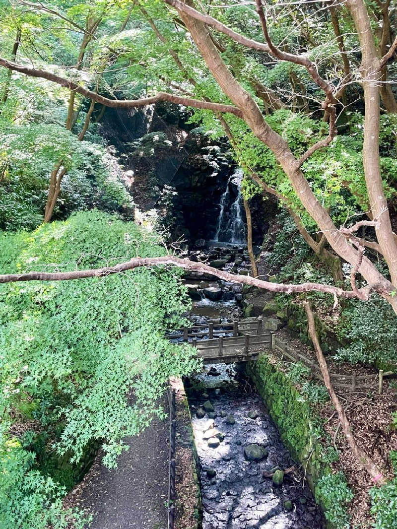 Laundryさんのなにわ健康ランド 湯〜トピアのサ活写真