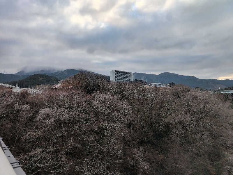 サウナおじさんさんの木の花の湯(HOTEL CLAD)のサ活写真