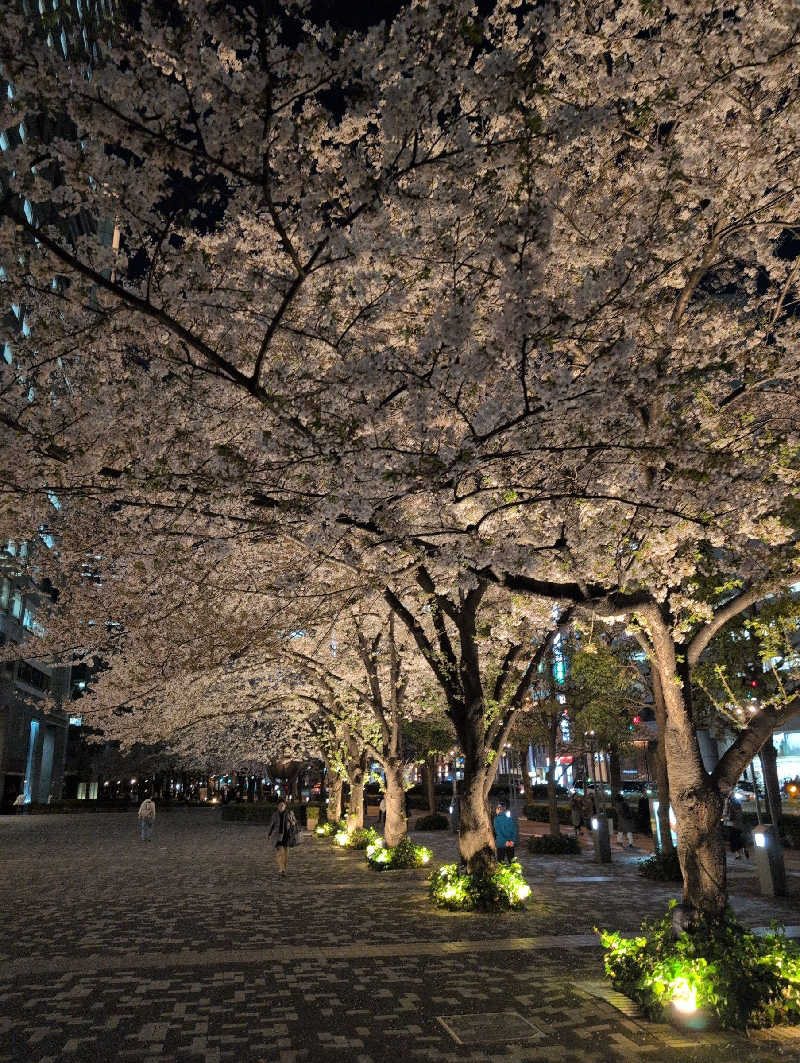 サウナおじさんさんのジェクサー・フィットネス&スパ24 新宿のサ活写真