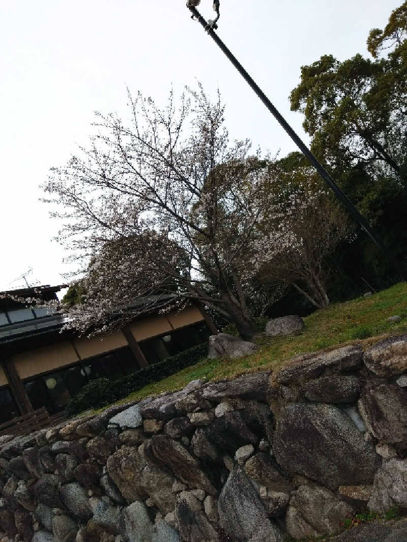 よしさんのひがしせふり温泉 山茶花の湯のサ活写真