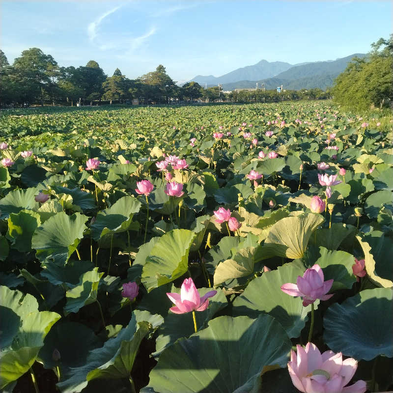 仁さんの釜ぶたの湯のサ活写真