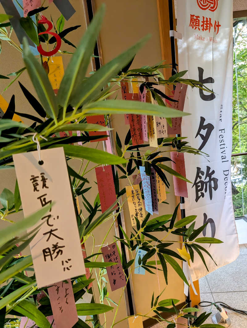 佐藤二博さんの定山渓 鹿の湯のサ活写真