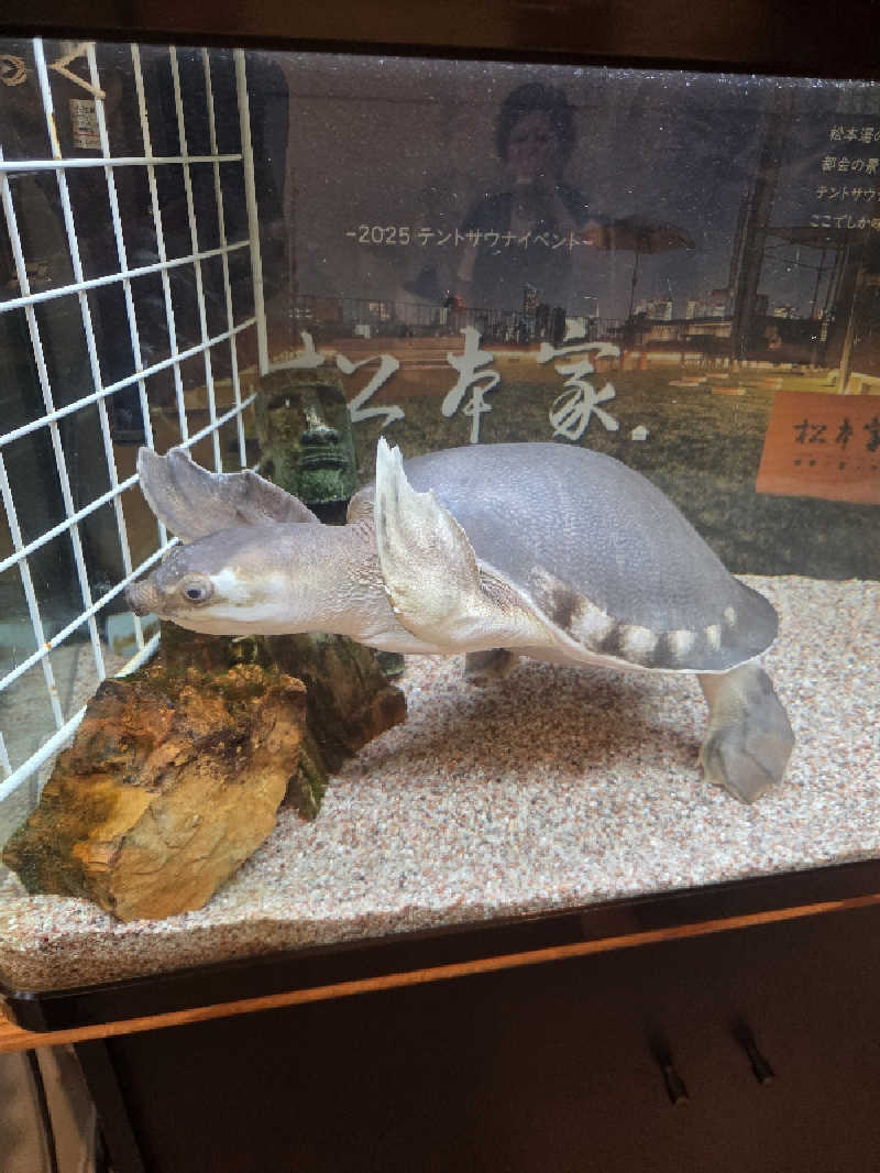 marurontさんの松本湯のサ活写真