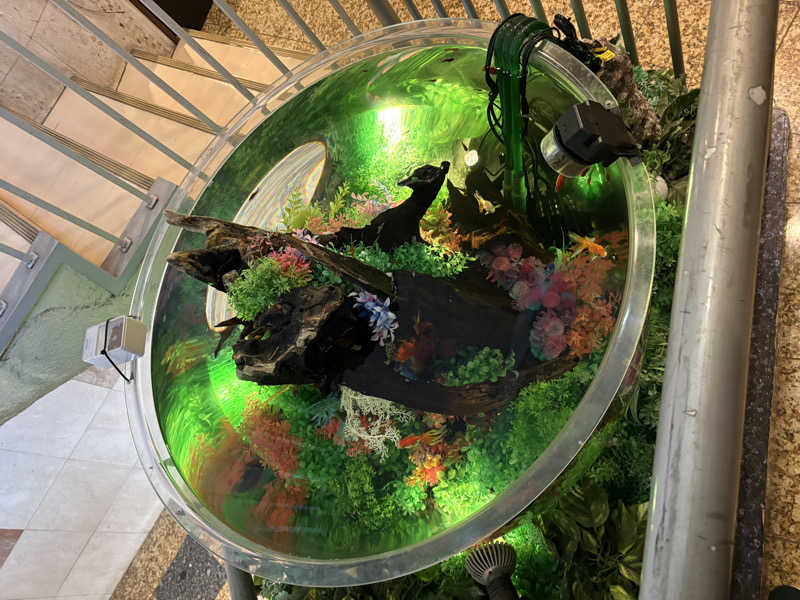 キメキメヴィヒタさんのウェルビー福岡のサ活写真