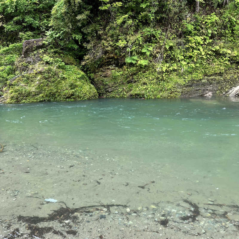 タッタさんのサウナ天竜のサ活写真