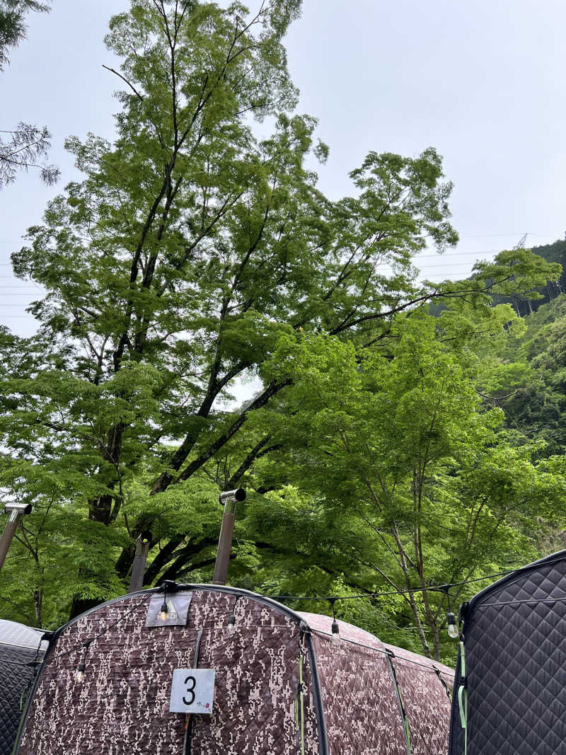 タッタさんのサウナ天竜のサ活写真