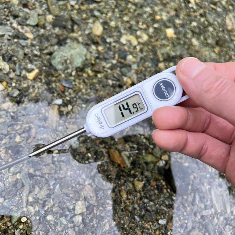 タッタさんのサウナ天竜のサ活写真