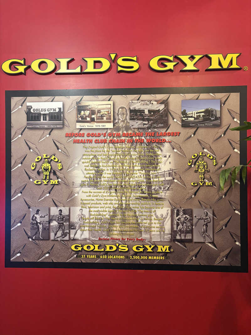 シンプルライフさんのゴールドジム サウス東京アネックス(大森)のサ活写真