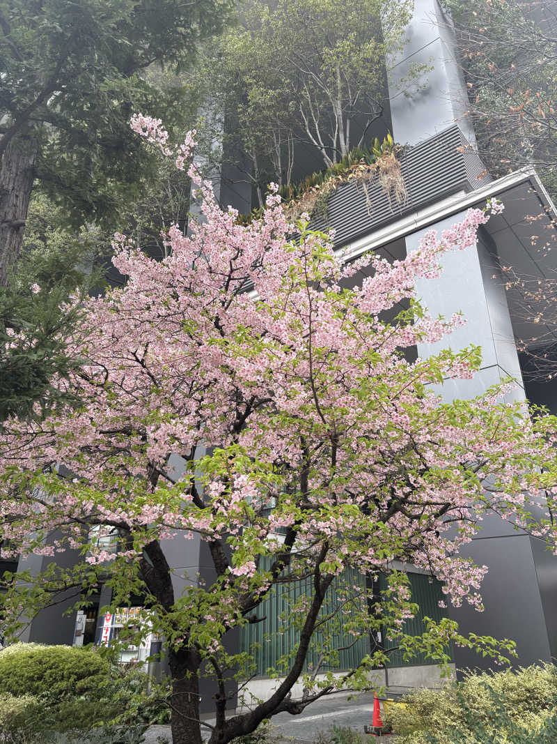 シンプルライフさんのゴールドジム 銀座東京のサ活写真