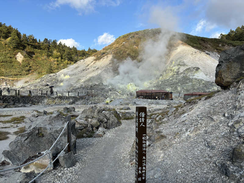 マミタスさんの玉川温泉のサ活写真