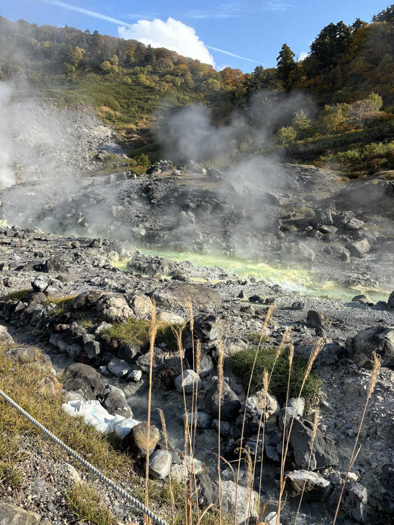 マミタスさんの玉川温泉のサ活写真