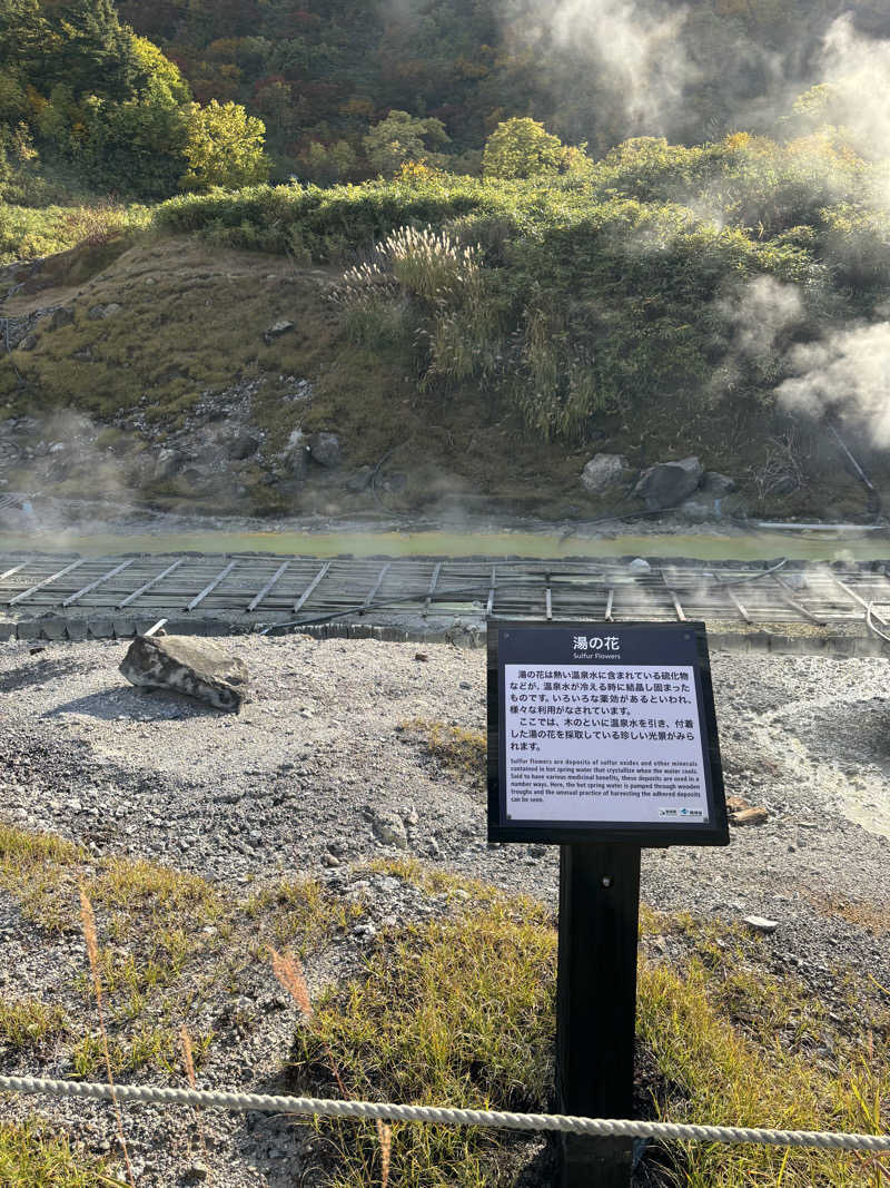 マミタスさんの玉川温泉のサ活写真