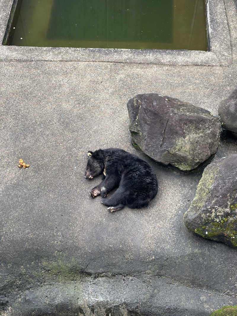 マミタスさんの打当温泉マタギの湯のサ活写真