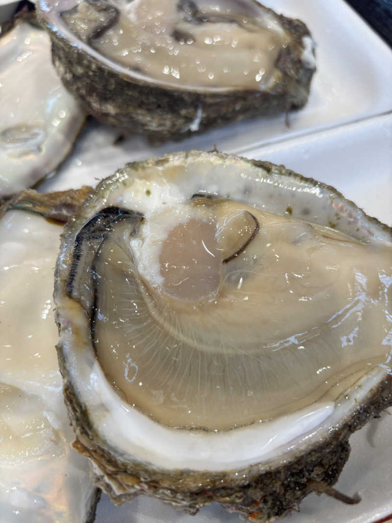 マミタスさんの道の駅 象潟 ねむの丘のサ活写真
