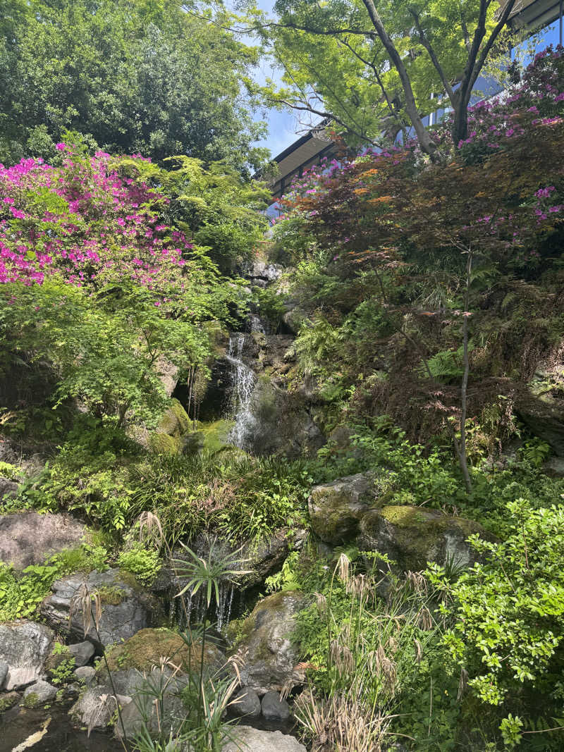 カツカレーうどんさんのよみうりランド眺望温泉 花景の湯のサ活写真