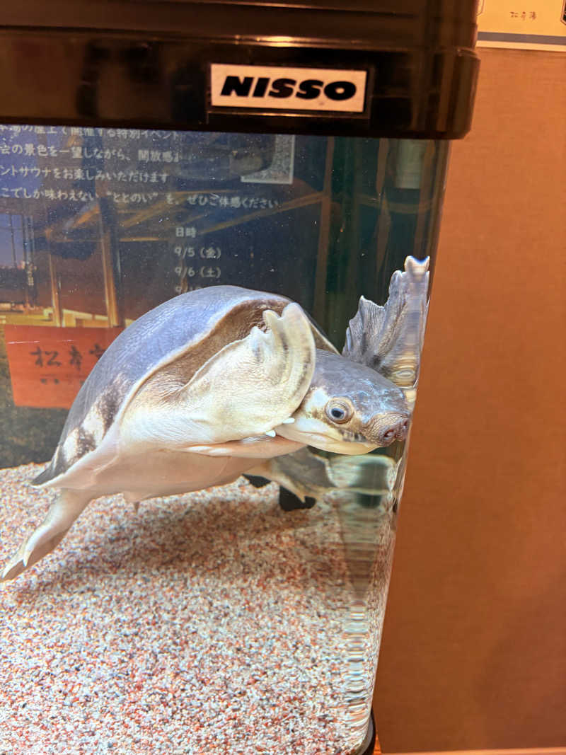 MOUさんの松本湯のサ活写真