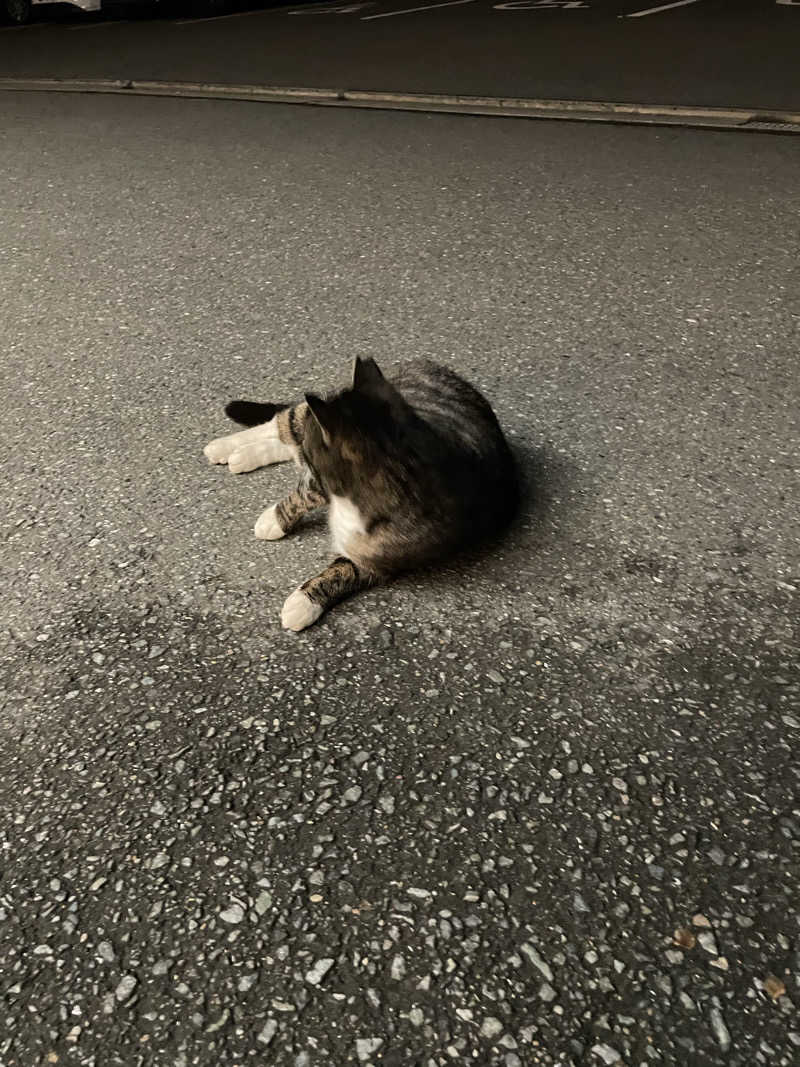 ととのい坊将軍さんのTHE VANISHのサ活写真