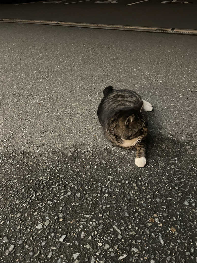 ととのい坊将軍さんのTHE VANISHのサ活写真