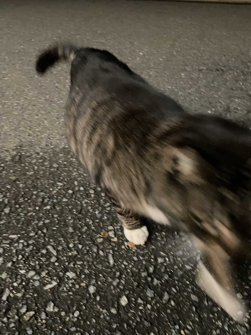 ととのい坊将軍さんのTHE VANISHのサ活写真