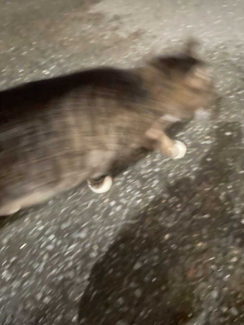 ととのい坊将軍さんのTHE VANISHのサ活写真