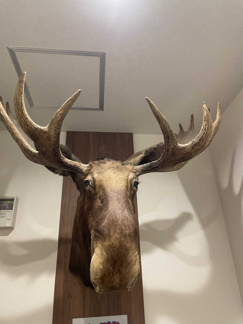 ととのい坊将軍さんのニュージャパン 梅田店(カプセルイン大阪)のサ活写真