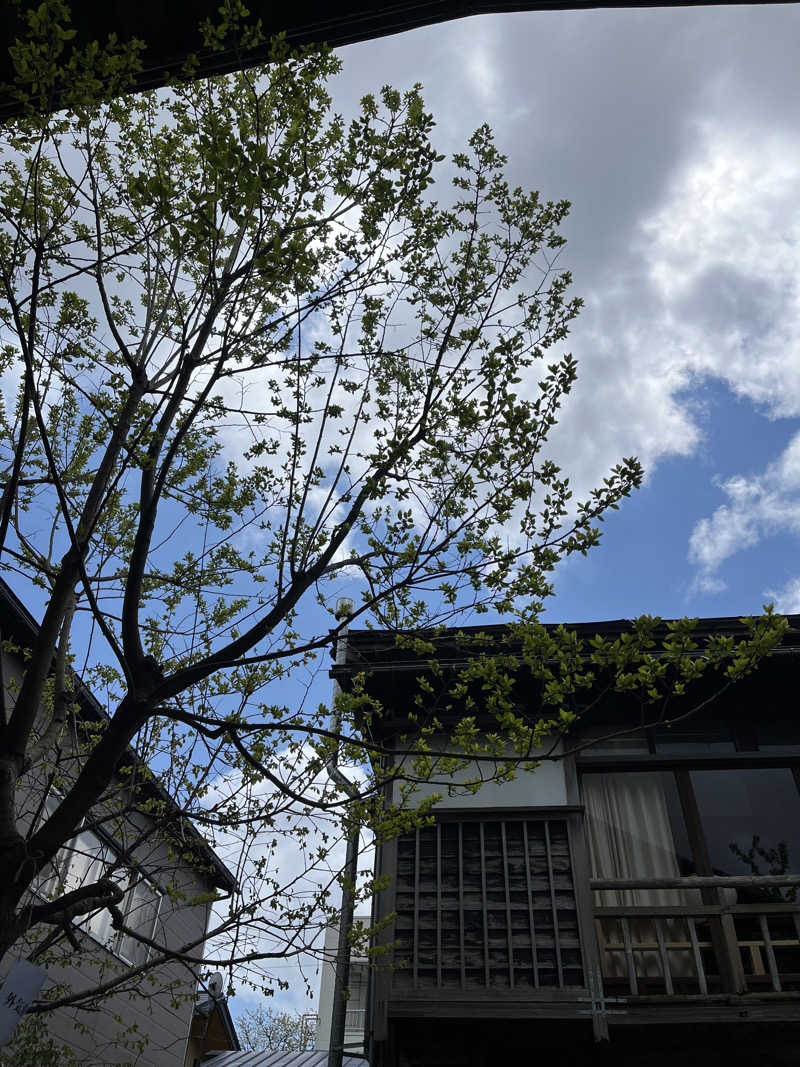 トラック鈴木さんの蔵サウナと文化財の宿 森長のサ活写真