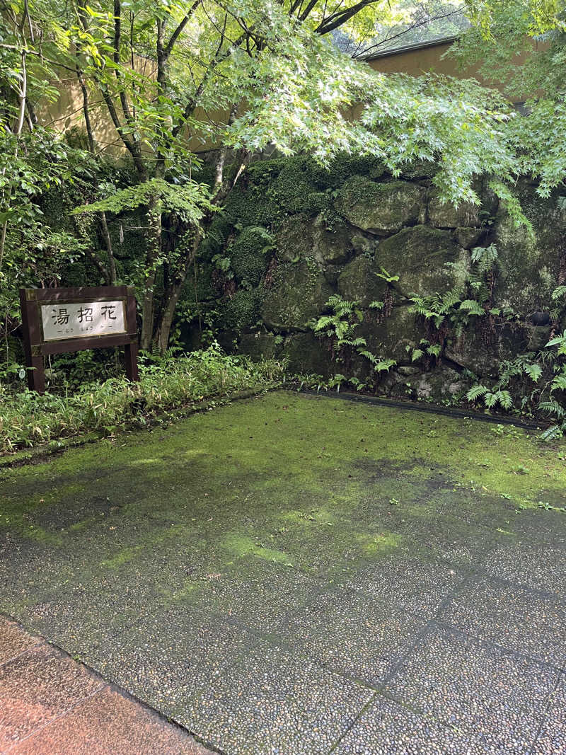 natsumi_さんの湯泉郷 温泉館 湯招花のサ活写真