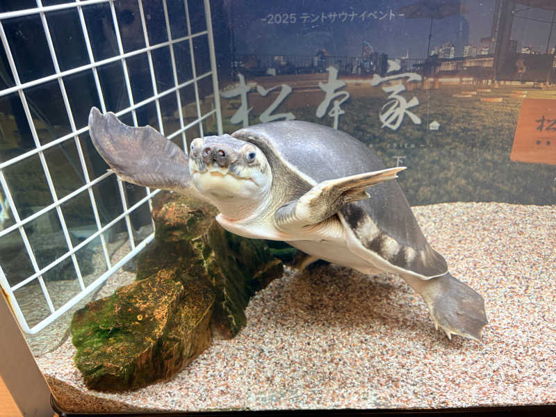 ゆかさんの松本湯のサ活写真