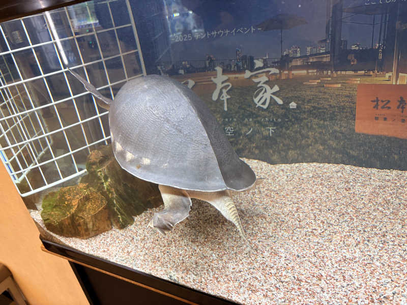 ゆかさんの松本湯のサ活写真