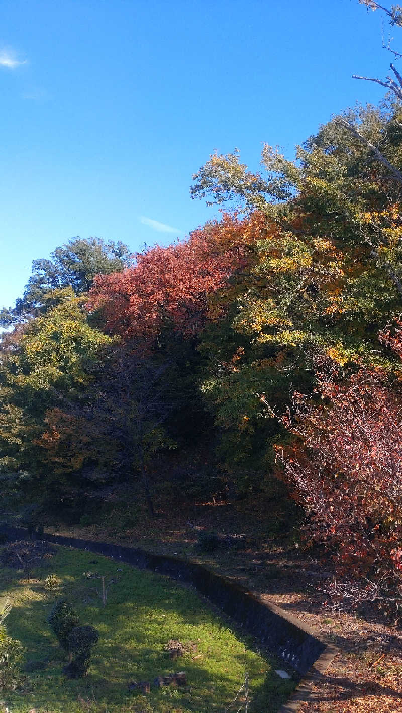 kumaさんの毎日サウナ 八王子店のサ活写真