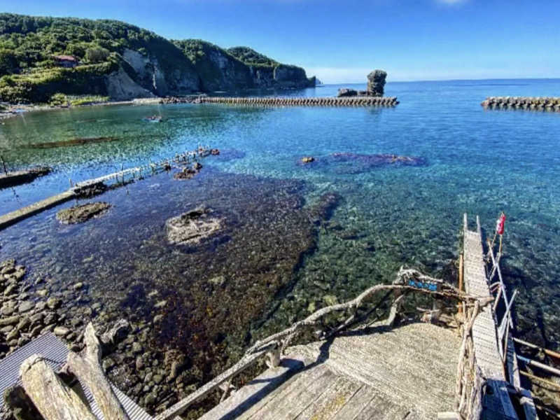 カホさんのsea sauna流木の家 (しゃこたん)のサ活写真