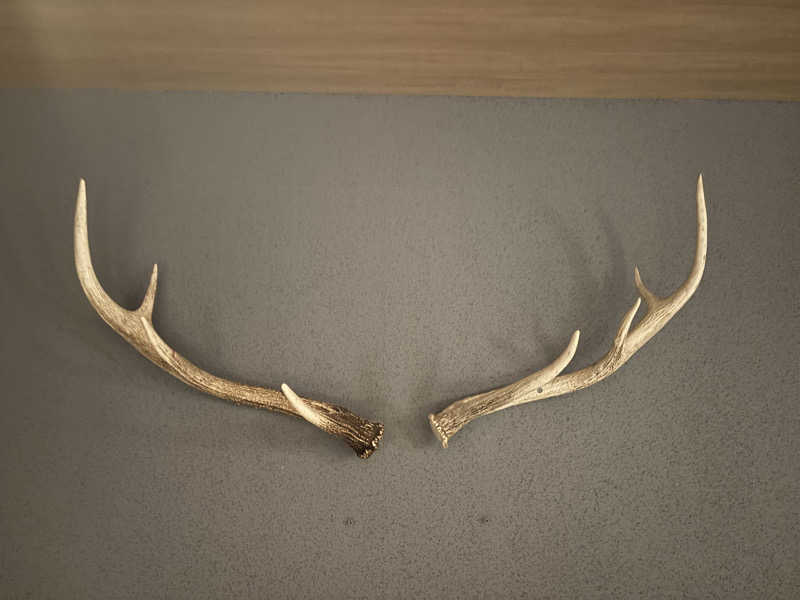 縞りんごさんのRe: PRIVATE SAUNAのサ活写真