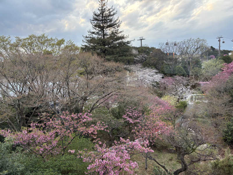縞りんごさんのよみうりランド眺望温泉 花景の湯のサ活写真