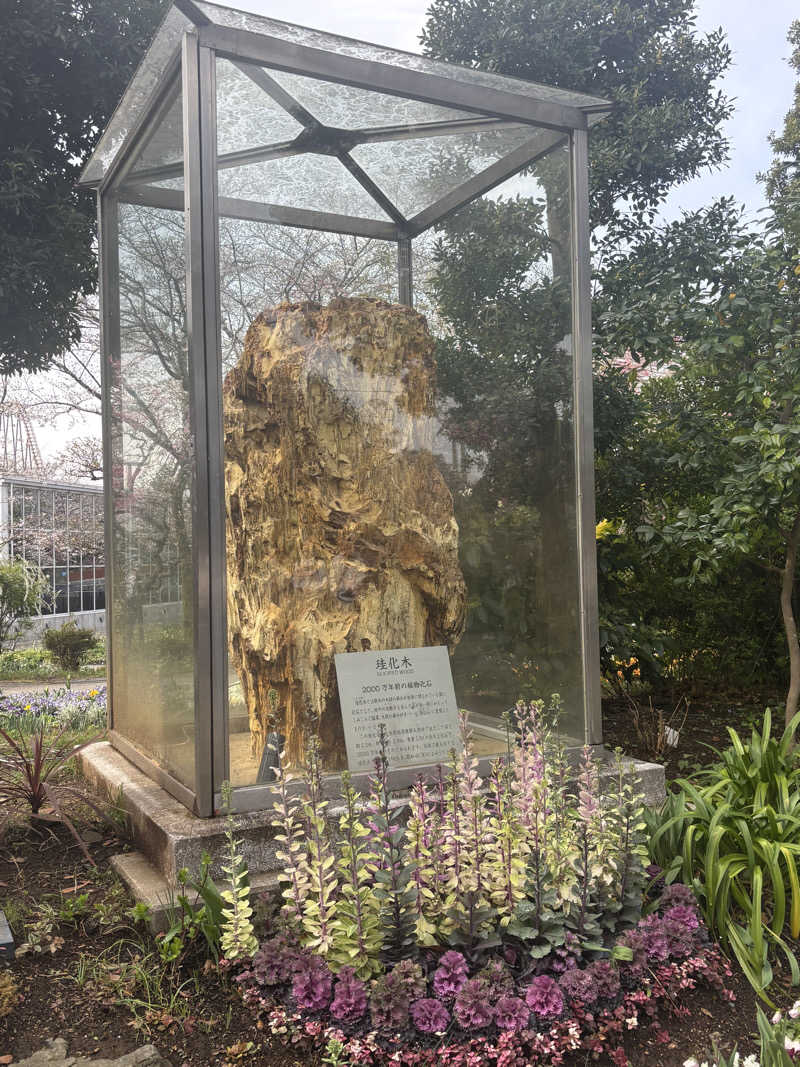 縞りんごさんのよみうりランド眺望温泉 花景の湯のサ活写真